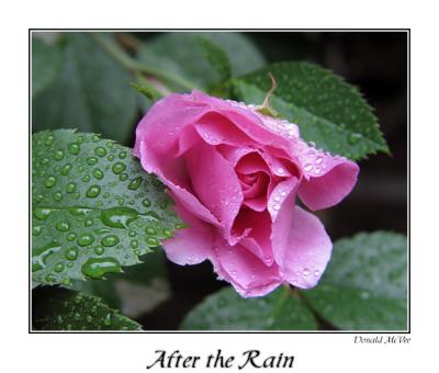 After the Rain