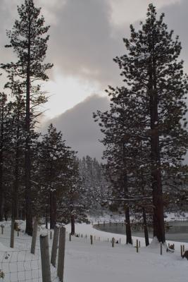 IMG02854.jpg