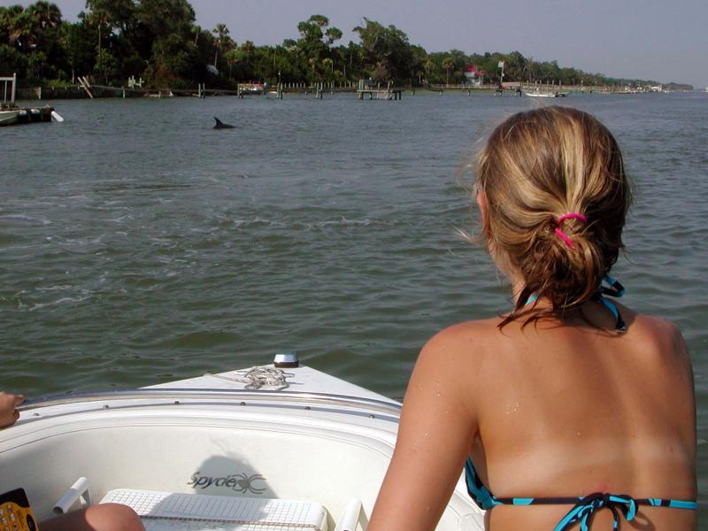 Sarah sights a porpoise on the intra-coastal