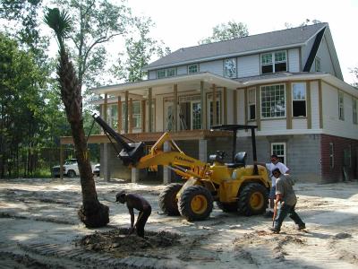 Our first palm tree arrives  07/29/2002