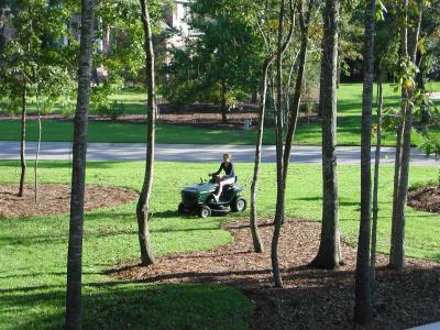 Two firsts - the lawn being mowed,  and Sarah doing the mowing