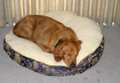 IMG_1830Web.jpg