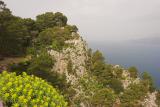 Amalfi_IMG_2020-01.jpg