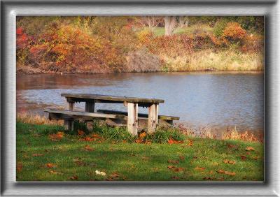 Bench