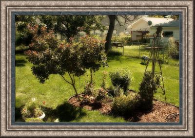 Yard