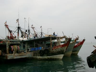 Fishing Fleet at Kota Kinabalu