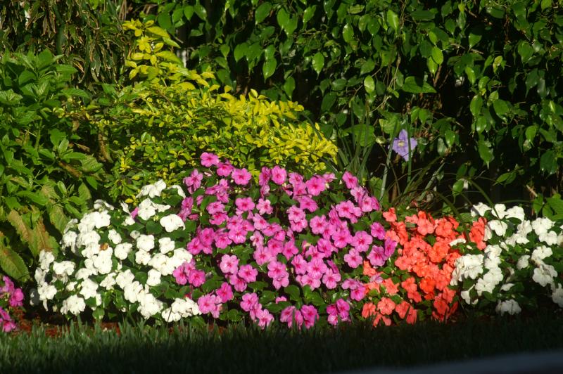 PICT0014.JPG