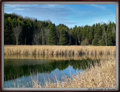 Geese Pond in Kortright Center