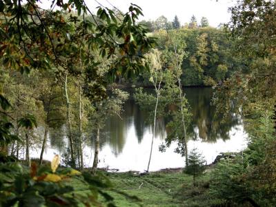 Limousin's pond