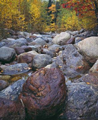 NH Dry River