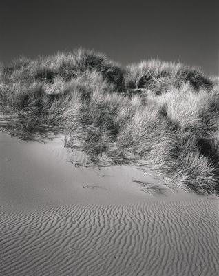 Point Reyes dunes and ripples