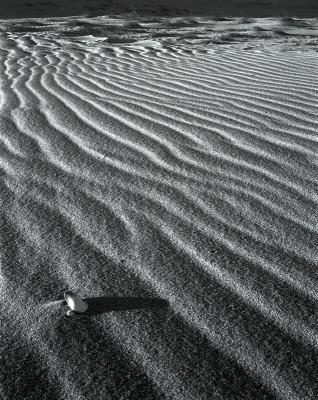 Race Point, shell at dawn