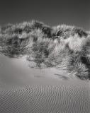 Point Reyes dunes and ripples