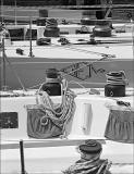 Newport Sailboats