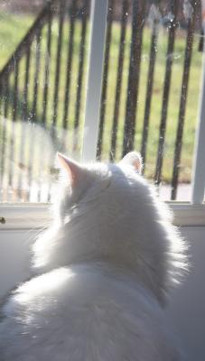 let me out