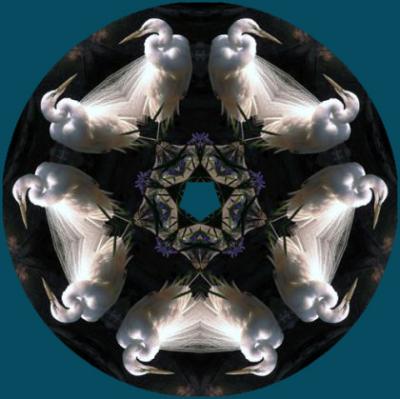 Kaleidescope.jpg