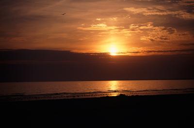 Sunset Along the Gulf Coast of Florida