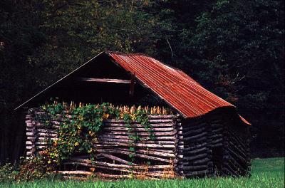 u13/minoltian/medium/35748141.bacoshedsmall.jpg
