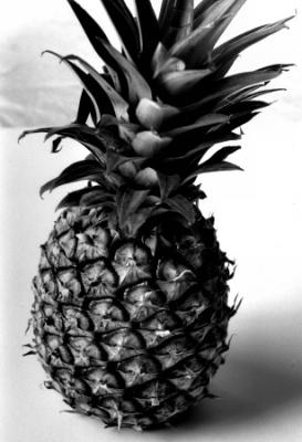 pineapple01-j.jpg