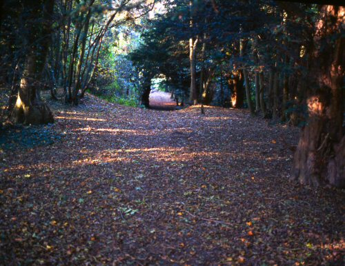 nag_autumn26.jpg