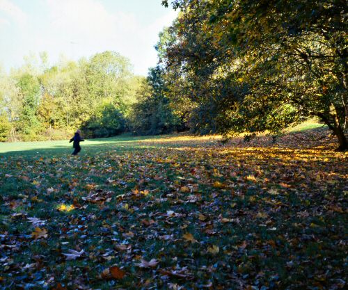 nag_autumn27.jpg