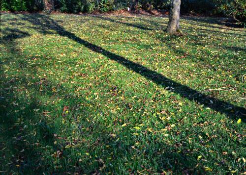 nag_autumn29.jpg