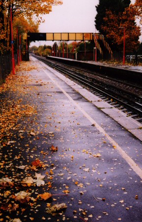 longfld01-j.jpg