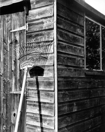 shed01.jpg