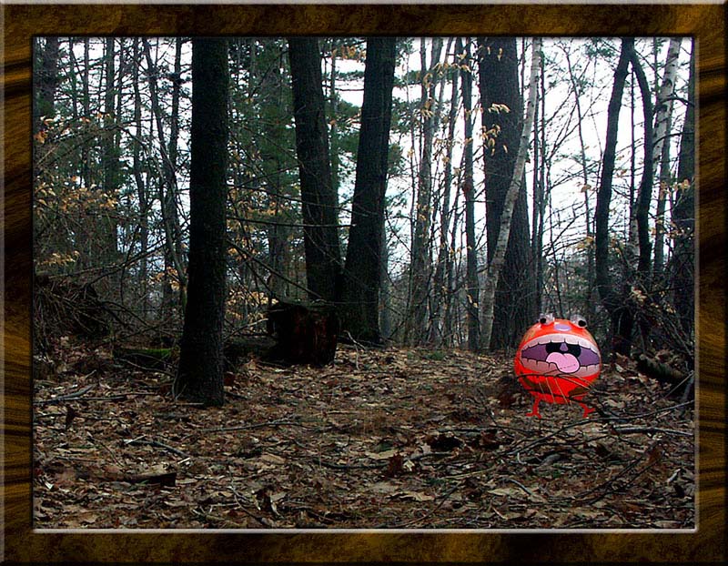 The Lonesome Alien
