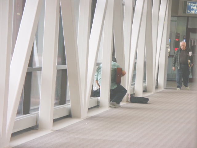 Skyway  Musician
