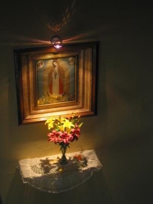 102-0249_IMG.JPG