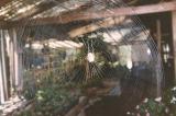 Dons spider web