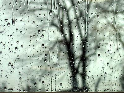 Rain on the window #29443b