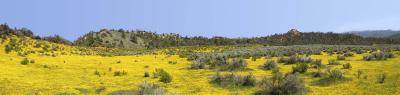 Along California Highway 33 - scroll it.