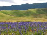 Mountains, Fields and Plains