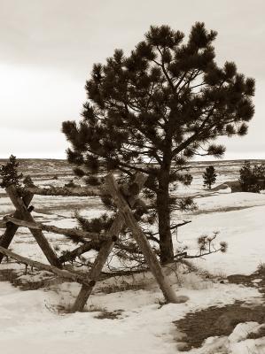 Wyoming