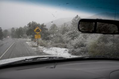 snow_0053_800.jpg