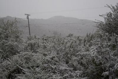 snow_0056_800.jpg