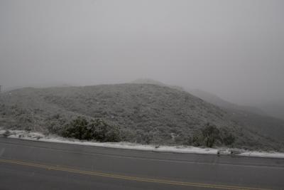 snow_0059_800.jpg