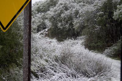 snow_0060_800.jpg