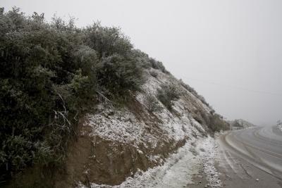 snow_0062_800.jpg