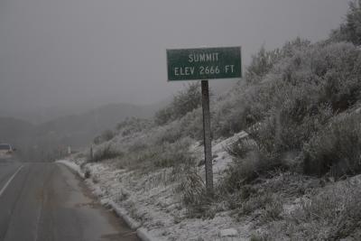 snow_0063_800.jpg