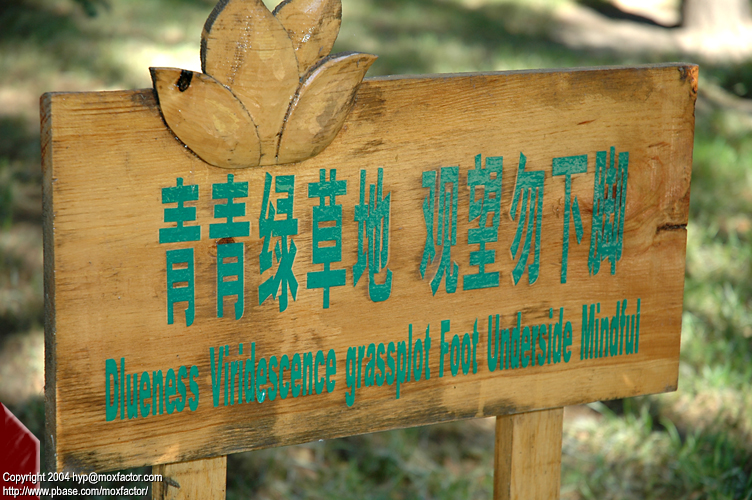 Harbin 哈爾濱 - 太陽島 Sun Island - dlueness viridescence grassplot foot underside mindful