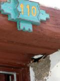 Barbs & Martys personal Barn Swallow nest