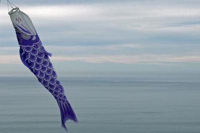Purple Carp by JeffryZ