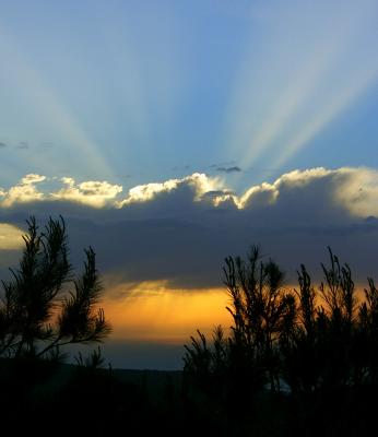 Light Ray Metamorphosis by Kirill Shoikhet