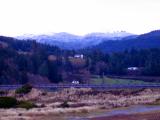 Snow n Sandgrass at Hwy101