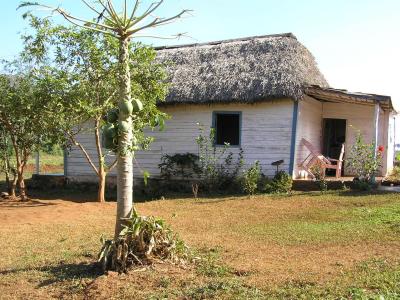 2004 12 02 - Farm house in Vinales.JPG