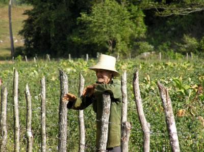 2004 12 02 - Vinales - Farmer waving at tourists.JPG