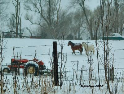 'wondering why the tractor won't play ... '